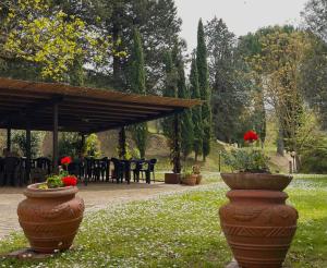 Agriturismo, Casa Borgo