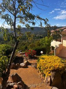 residence marina di a testa