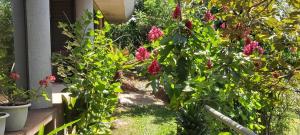 Bed and breakfast close to airport, beaches and attractions