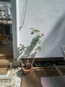 Maisons de vacances Shanti House Luberon : photos des chambres