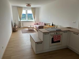 Štýlový apartmán s TOP výhľadom - Orava, Námestovo