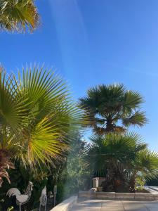 Marie Jean Chambre dhôtes & Gîte