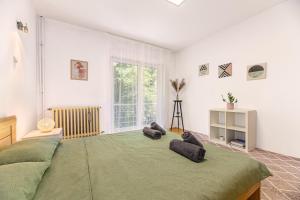 Apartament cu Gradina la Casa Alemar