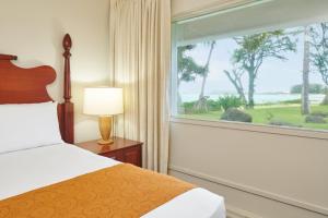 Ocean View One King room in Maui Beach Hotel