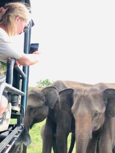 jungle safari home stay