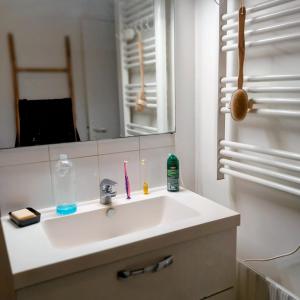 PARIS CDG Chantilly Senlis