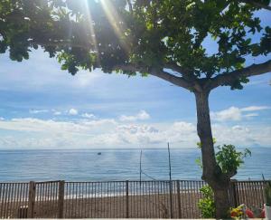 Royal Seascape 1 Beachfront- Optional Jacuzzi