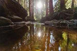Hidden Creek Hideaway