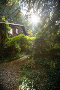 Hidden Creek Hideaway