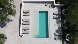 Studio with Pool View room in Grigoris Garden
