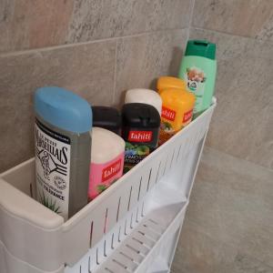 PARIS CDG Chantilly Senlis