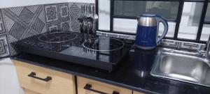 Serene BnB - Apt 06 Makongo after Mlimani City