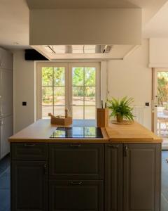 Boutique Suite with Garden near Ghent