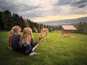 Ferienhütte Simon Gregor