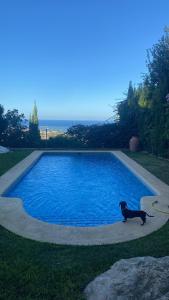 PAZ y VISTA ENCANTADORA