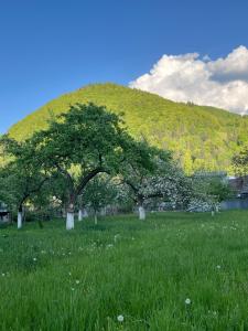 "Глиняна хатинка"