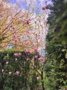 Cozy Apartment with garden and parking, near Center