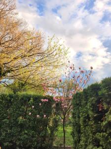 Cozy Apartment with garden and parking, near Center