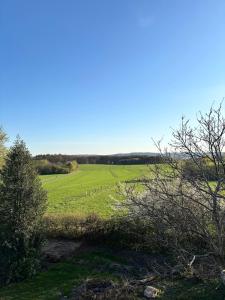 Ruhige Ferienwohnung mit Waldblick