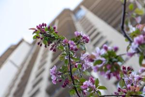 Rodos Arcadia Apartment