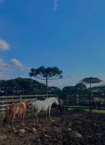 Casa de Campo Fazenda Invernada Grande