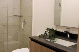 Loft Alberca in Chapultepec