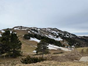 Chalets Chalet Echo des Montagnes : photos des chambres