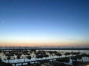 Apartment mit Ostseeblick-Sandpieper