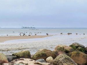 Apartment mit Ostseeblick-Sandpieper