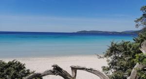 Monolocale Centro Storico img13