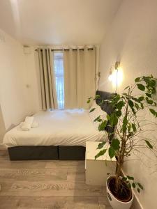 2 bedroom flat ground floor NW1