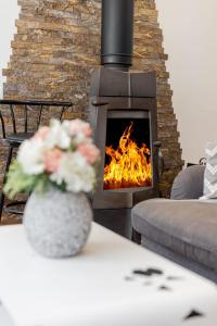 The Beauty of the North