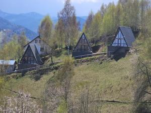 A-frame Muchia Scortii