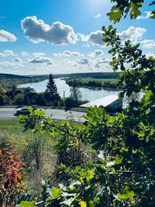 Menulio Misko Nights