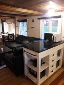 Easily accessible cabin with woodburner outside Hässleholm