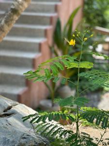 El Nido, Riad San Cristobal