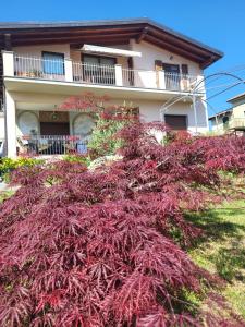 Casa BRUGIDIO