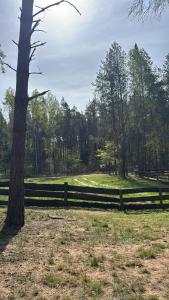 Na Zboczu - Rodzinny Domek w Lesie na Mazurach z Basenem i Sauną