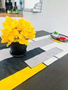 AeroSuites Luton - SHARED AND PRIVATE Accommodations mins from Luton Airport,FREE selected Breakfast,Adults Only,FREE Parking subject to availability and reservation only, Whats Up number required, Late Self Check In and Out by request only