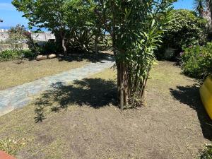 Maisons de vacances Maison sur la plage : photos des chambres