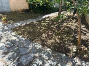 Maisons de vacances Maison sur la plage : photos des chambres