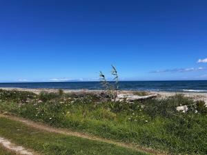Maisons de vacances Maison sur la plage : photos des chambres