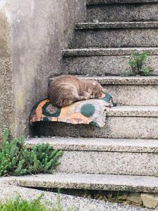 Appartamento con 3 Camere da Letto e con Balcone