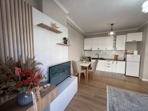 Cozy Tirana Apartment Rr Sokrat Miho