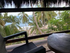 Cocobeach Palomino