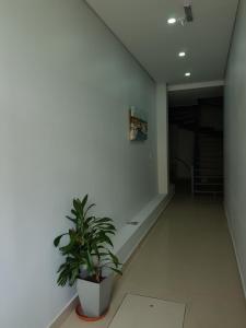 Yeska Apartamentos B