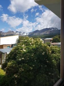 Yeska Apartamentos B