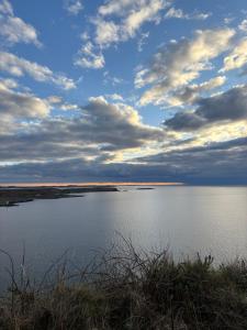 Racecourse Lodge Apartment