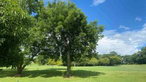 Espectacular Casa de lujo con piscina y campo de golf!