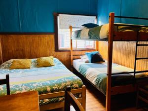 Apart Newen Osorno